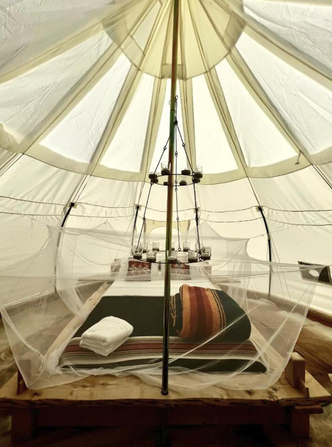 Paradise Ranch Inn - Liberated Tent Three Rivers Eksteriør billede