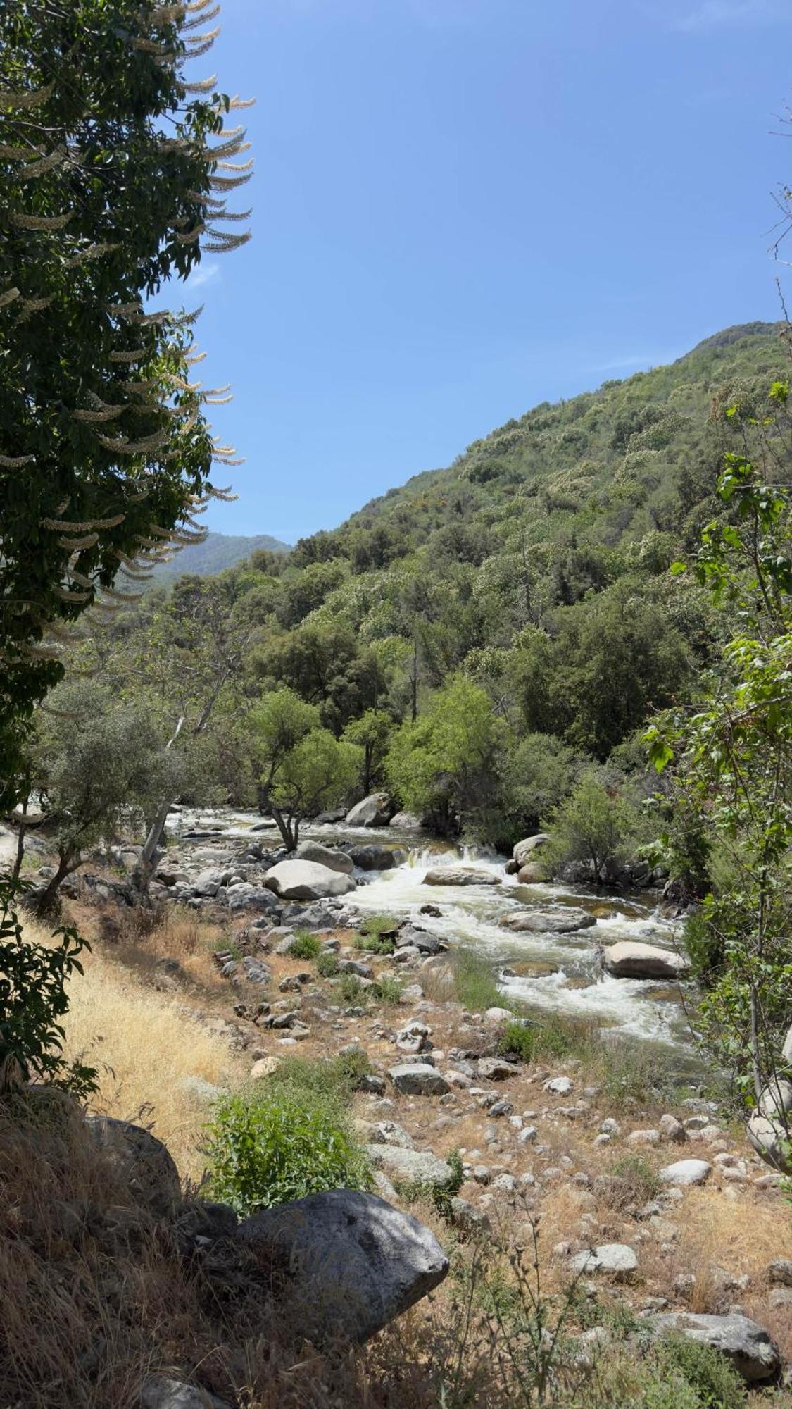 Paradise Ranch Inn - Liberated Tent Three Rivers Eksteriør billede